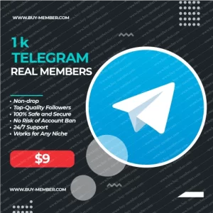 Buy 1000 Real Telegram Members, Smallest package